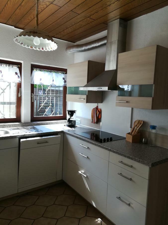 Ferienhaus Am Park Диц Экстерьер фото