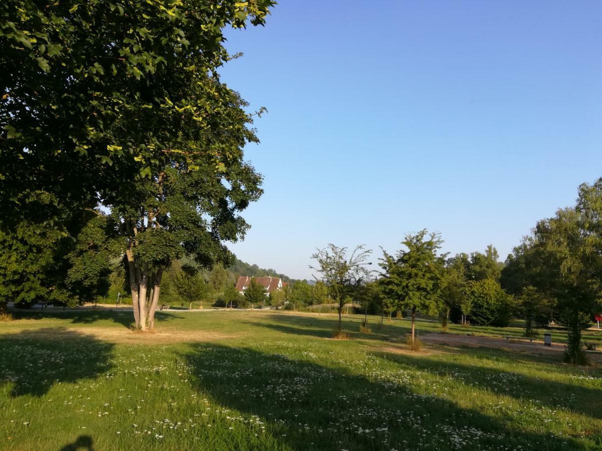 Ferienhaus Am Park Диц Экстерьер фото